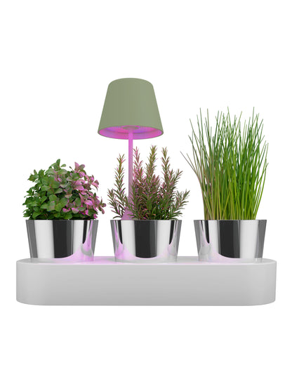 Sompex tafellamp | PEEKY | Olijf groen | Oplaadbaar | Accu / dimbaar