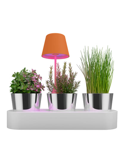 Sompex tafellamp | PEEKY | Oranje | Oplaadbaar | Accu / dimbaar